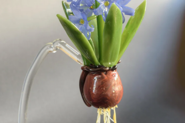 Meet our makers Bio Image_Annas Glass